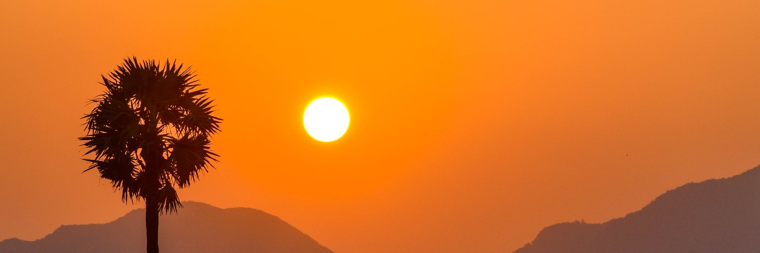 aviansiable's profile banner image