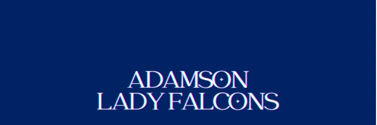 ADU_LFalcons's profile banner image