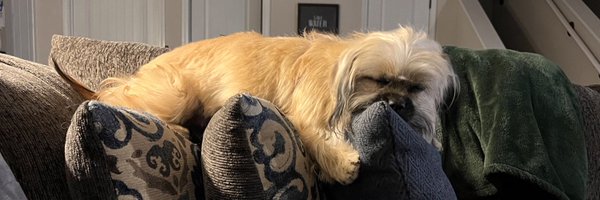 _NotABraxtonnnn Profile Banner