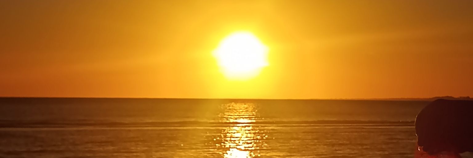 Rosana Rodríguez banner