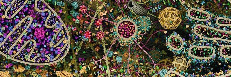 Data_conqueror banner