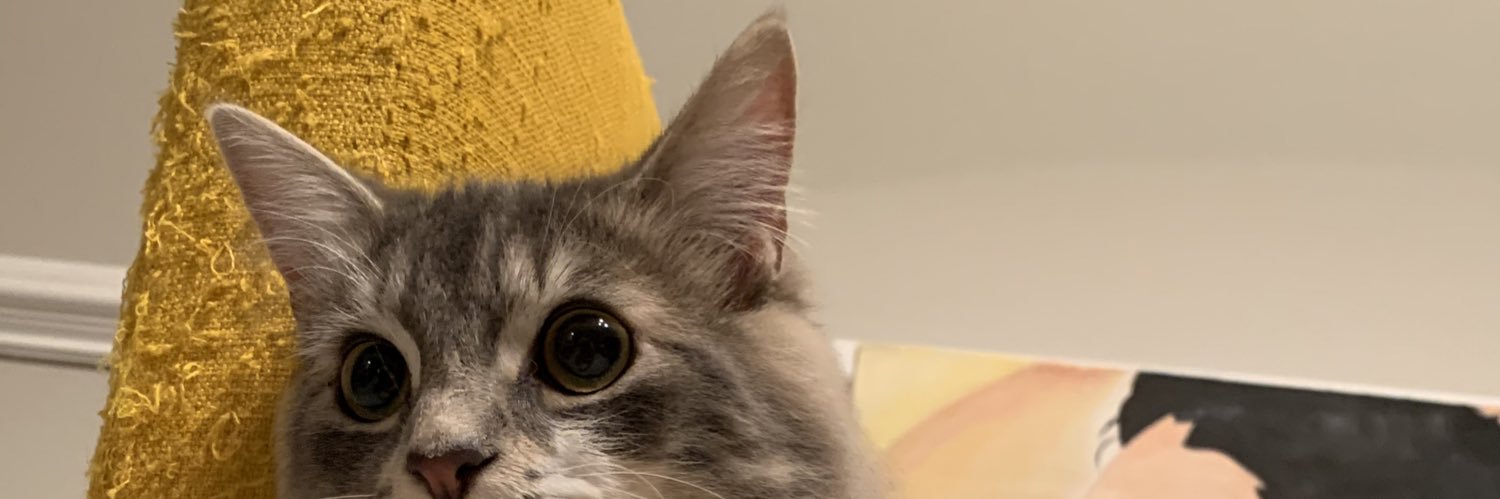 ashtonn__'s profile banner image