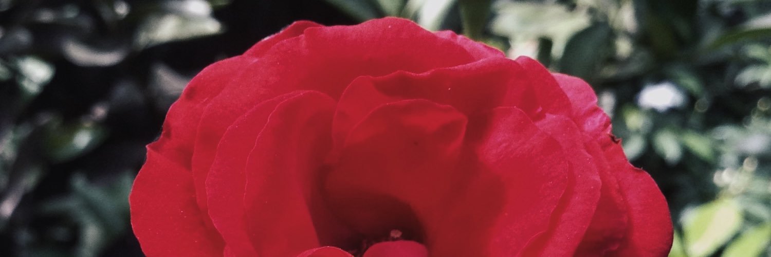 _ashtreey's profile banner image
