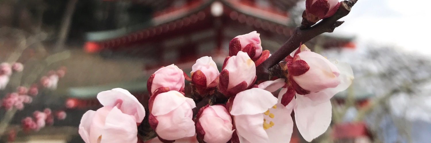jaclynclaired's profile banner image
