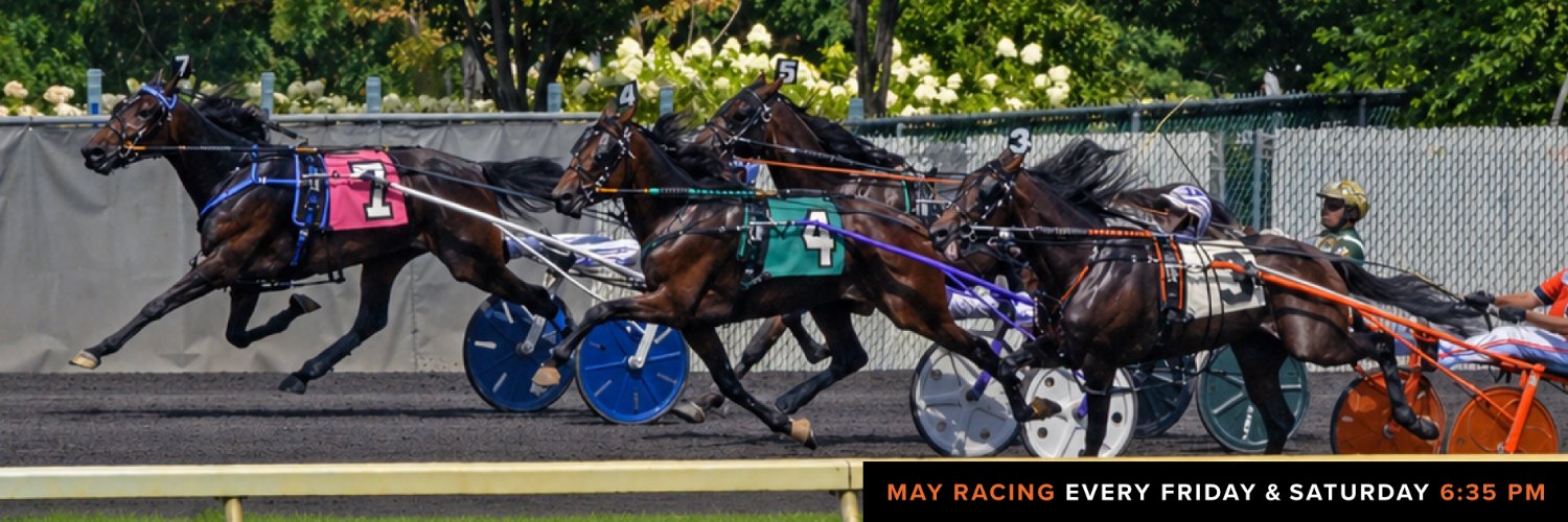 Meadowlands Racing banner