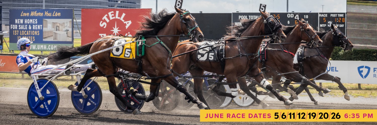 TheMeadowlands's profile banner image