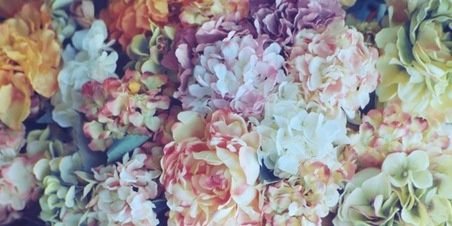 lulaferrerm's profile banner image