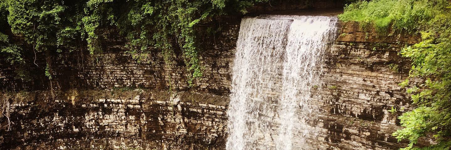 Heather Barks banner