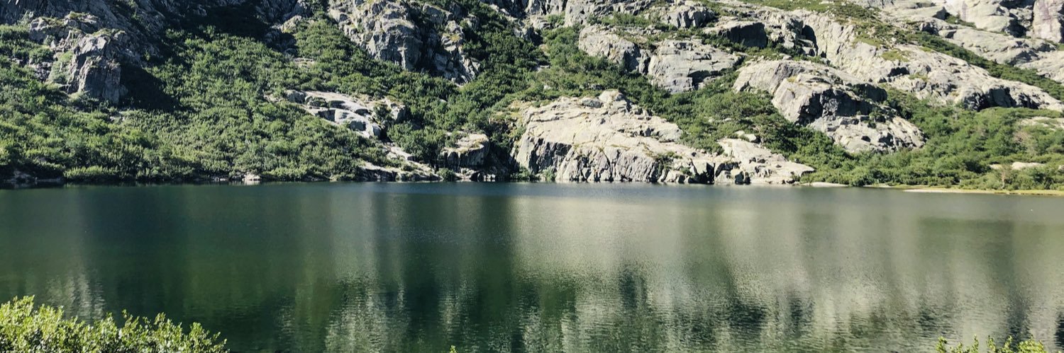 Aureeo banner