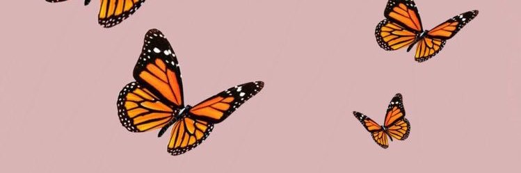 brepedroza's profile banner image