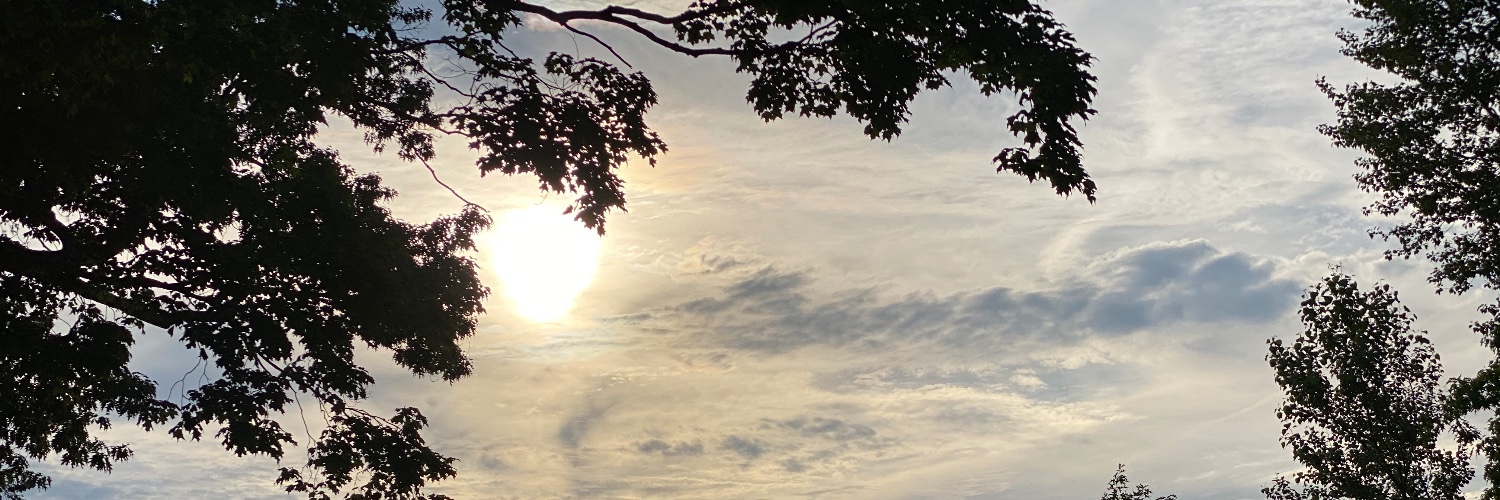 SwirlingRivers's profile banner image