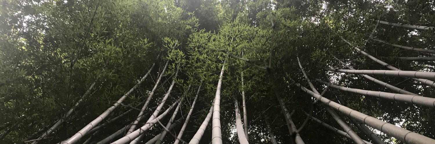 thisiscamwong's profile banner image