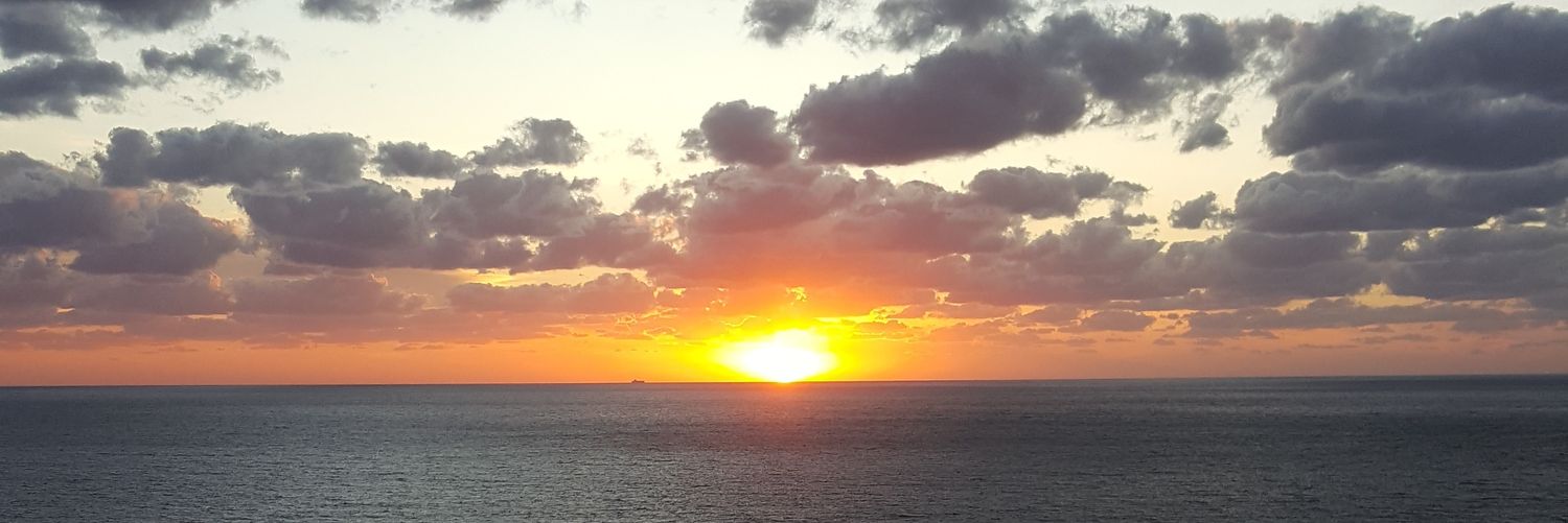 nenasa85's profile banner image