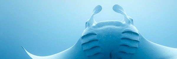 thehydrous Profile Banner