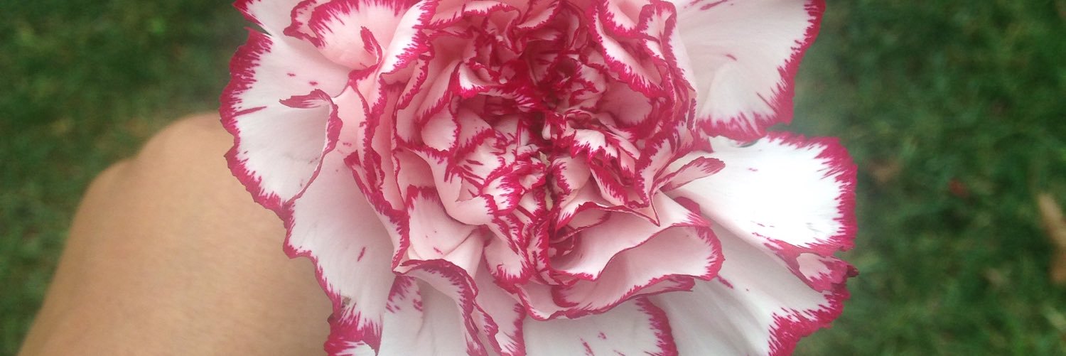 TrulymeAli's profile banner image
