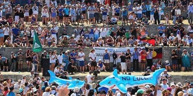 NoWASharkCull's profile banner image