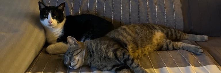 manublxt's profile banner image