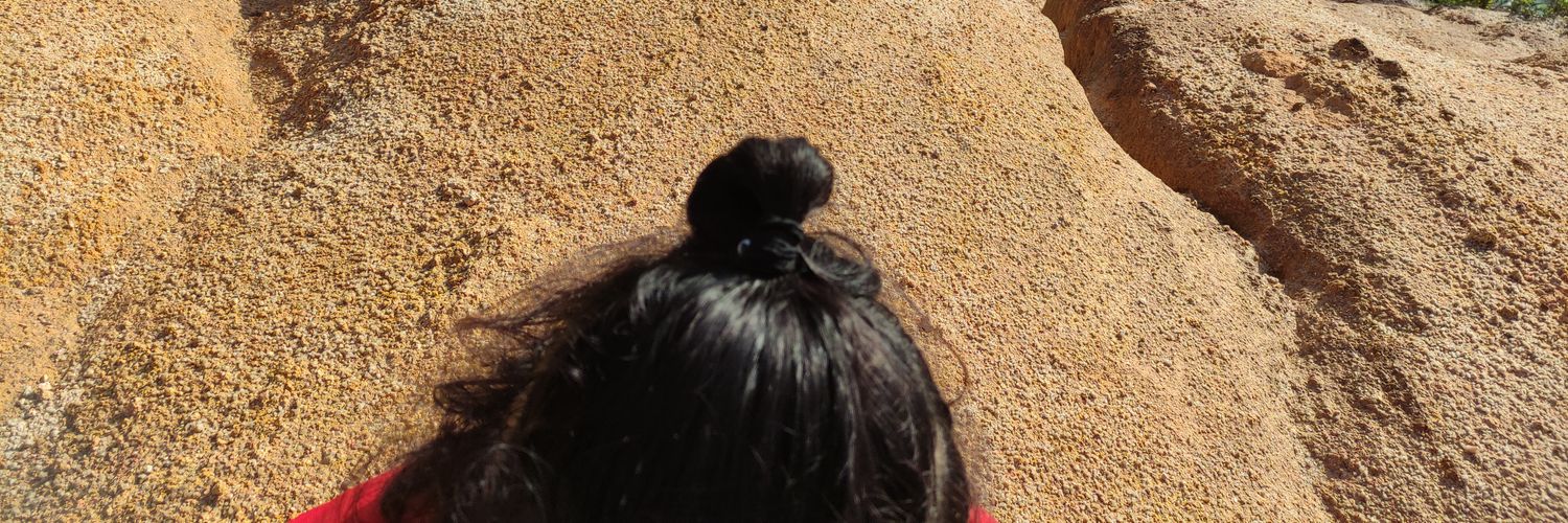shasha_il's profile banner image