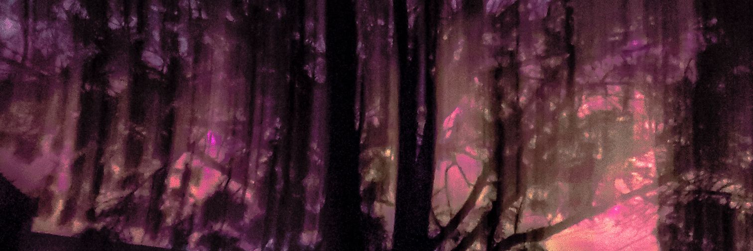 kikin010's profile banner image