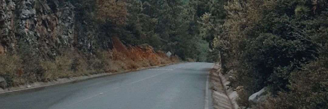 carlasotoc's profile banner image