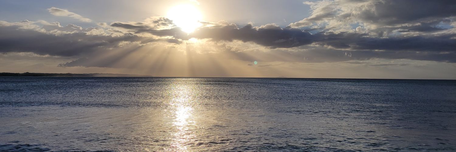 palitoecoco's profile banner image