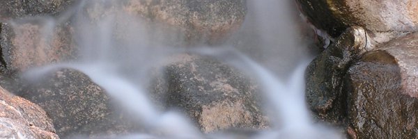 ExpatRepeat Profile Banner