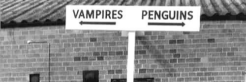 Gavin Elliott banner