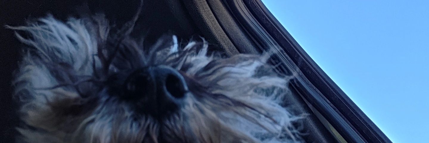 abynchuca's profile banner image