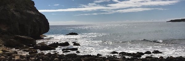 crystalcmiranda Profile Banner