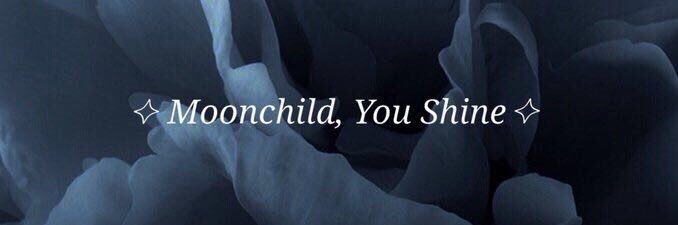lashtonsrose's profile banner image