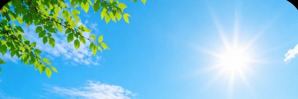 Melody❤️ banner