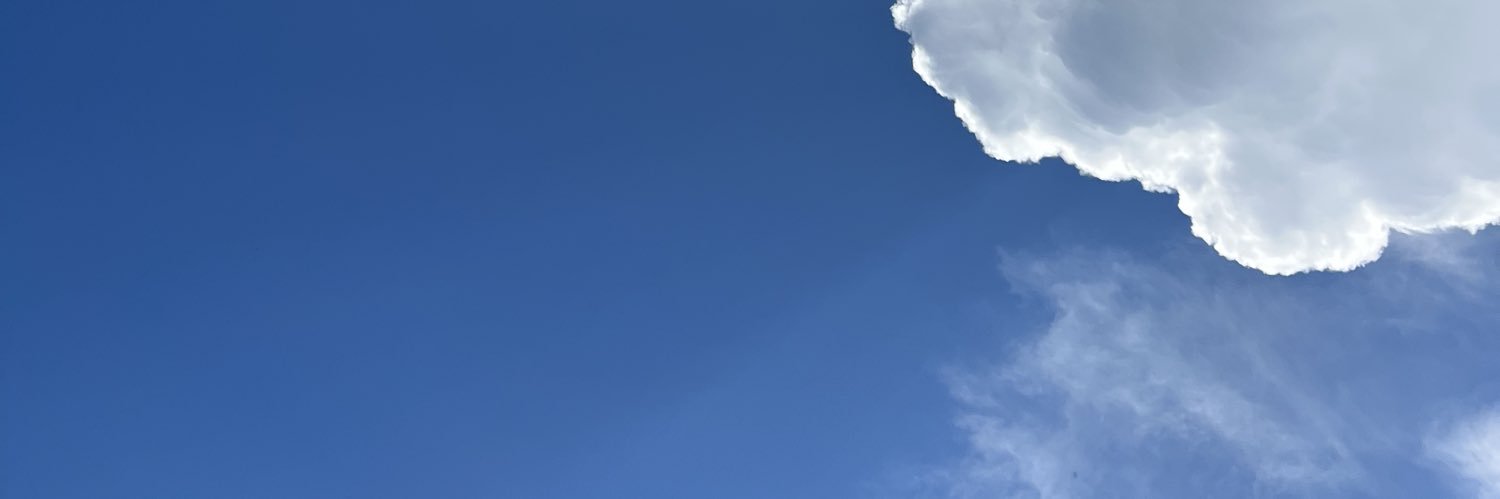 Lenz banner