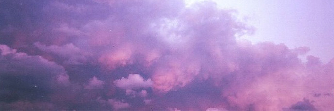 nat the cat! ¨̮ banner