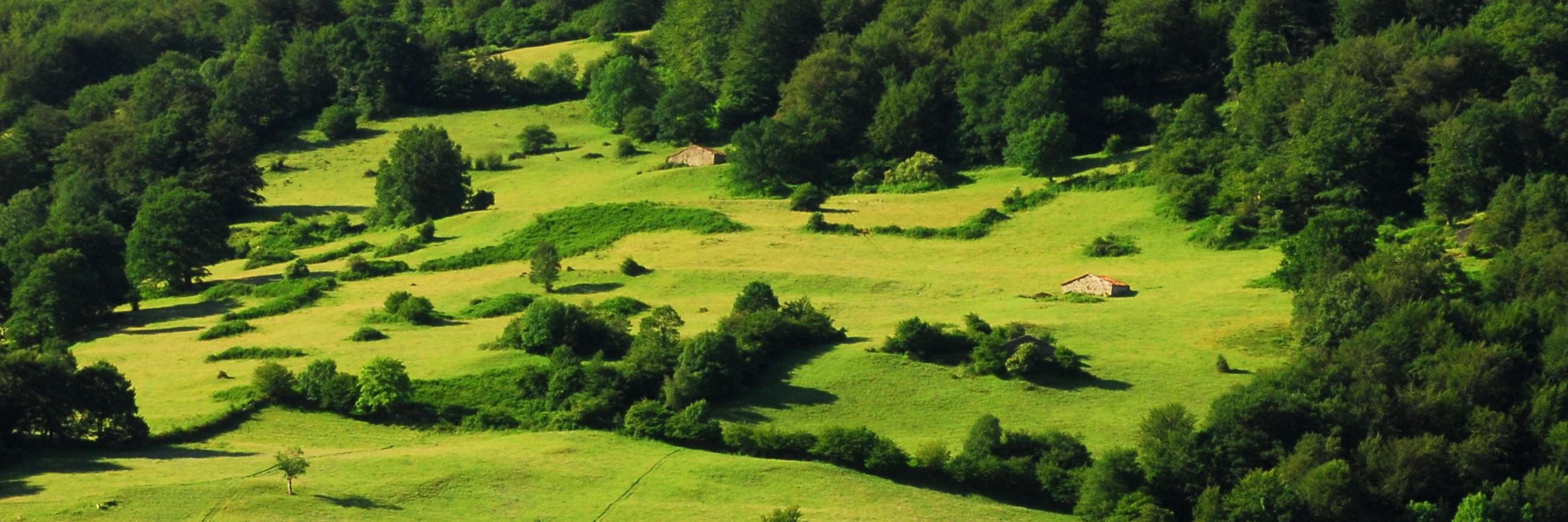 Valle del Nansa banner