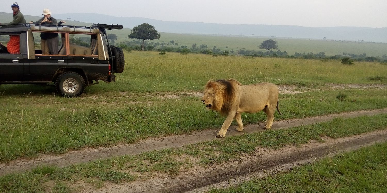 ErickTours's profile banner image