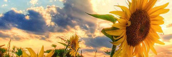rti922's profile banner image