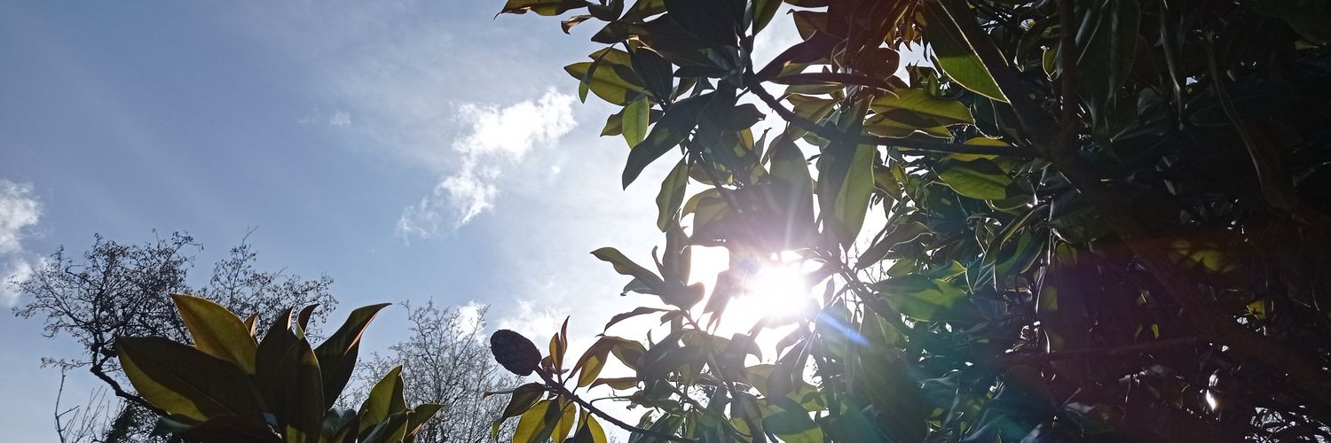 ntoinep's profile banner image