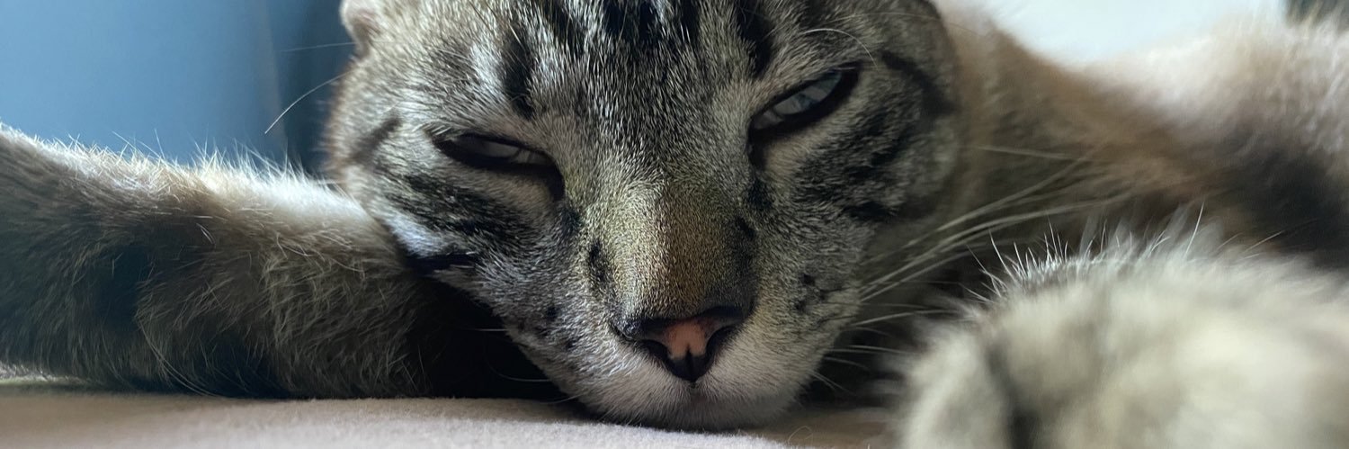 rjeans_'s profile banner image