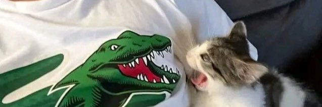 thrrgn's profile banner image