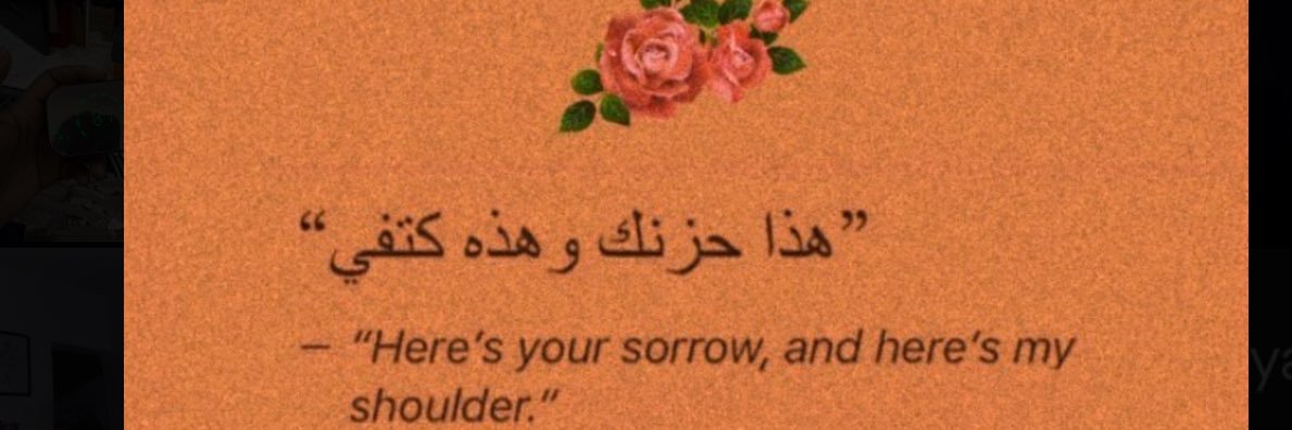 Dr. Noor 🌑's banner