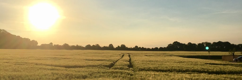 cybsmall's profile banner image