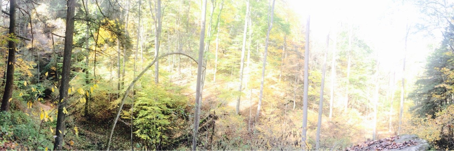 lizziema42's profile banner image