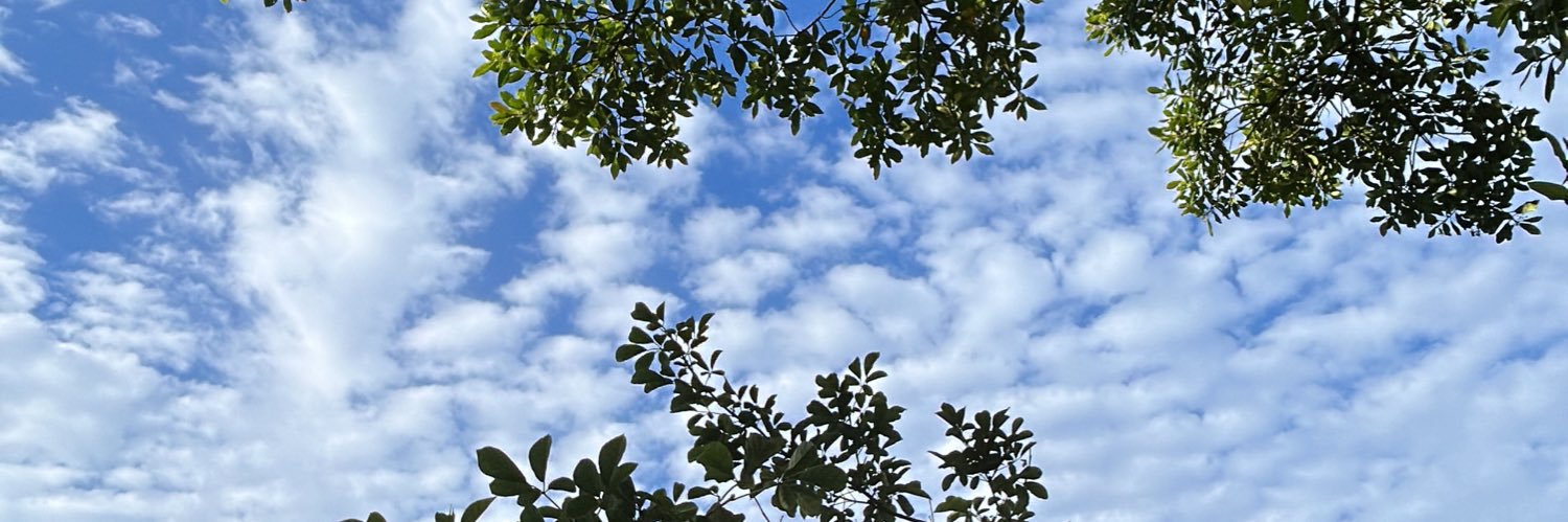 wellerpassos's profile banner image