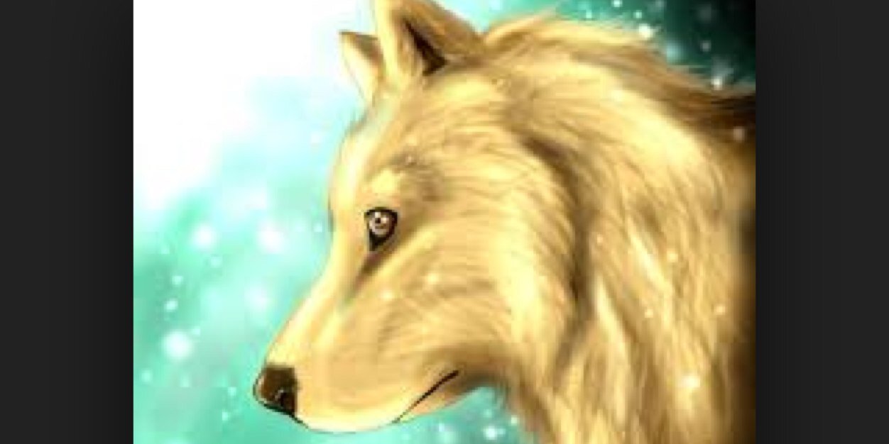 Soul_wolf1's profile banner image