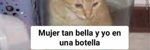 CheemtoConSalsa's profile banner image
