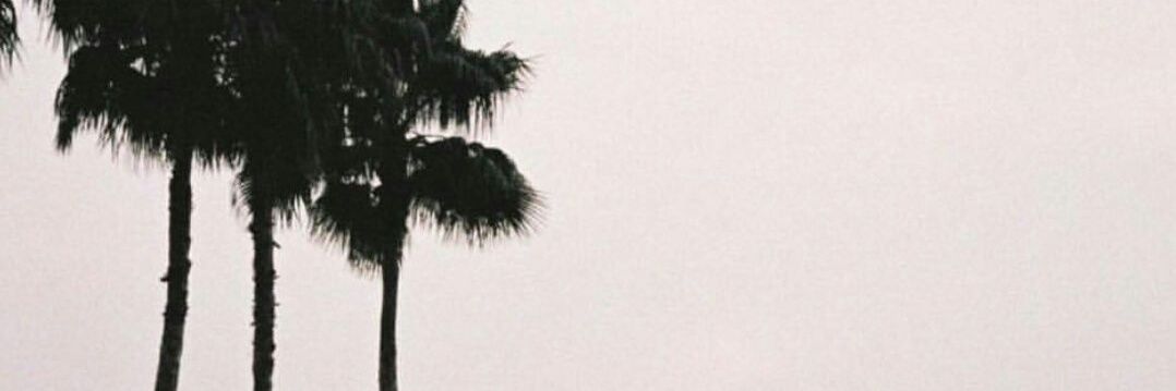 369 banner