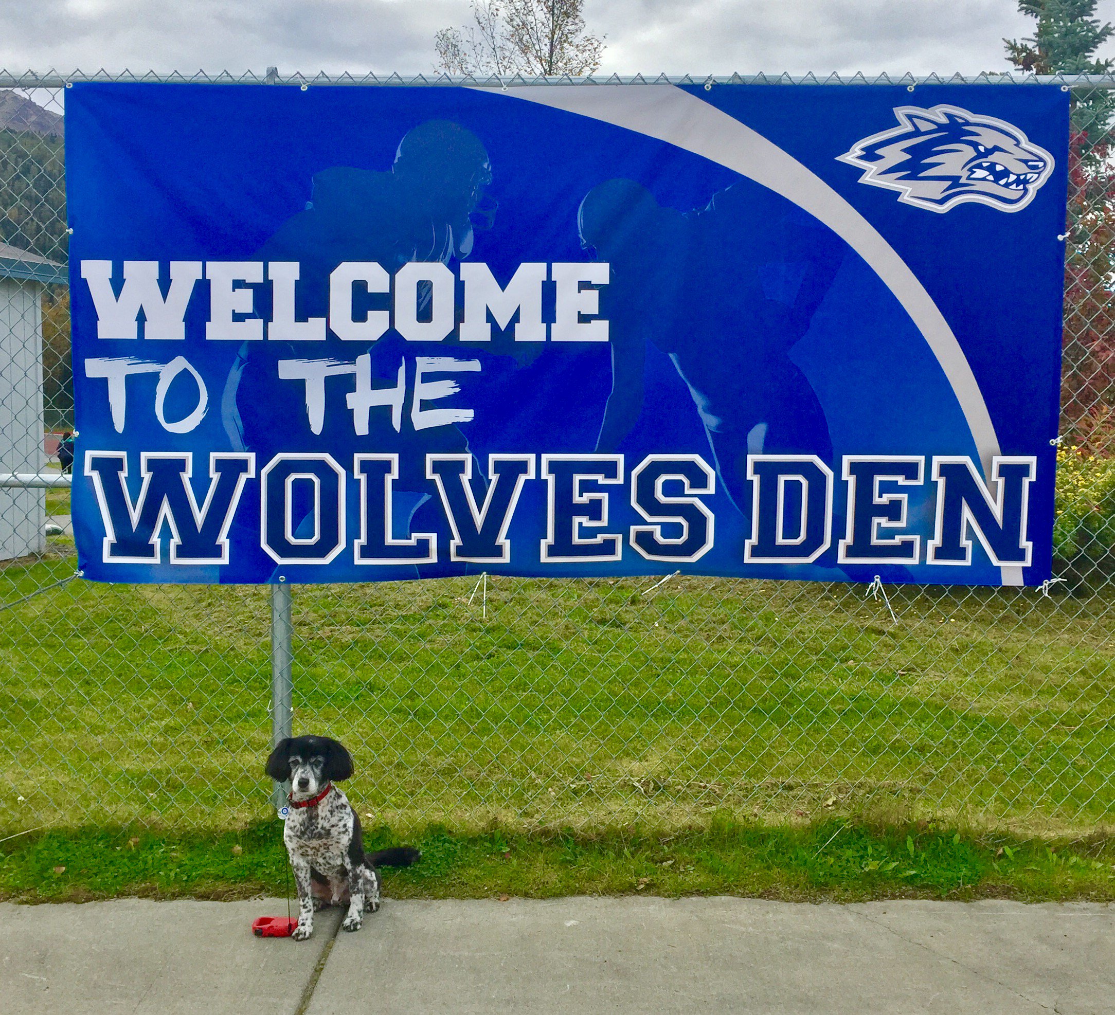 ERHS_Wolves's profile banner image