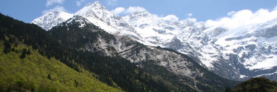 LIBERTÉ ÉGALITÉ FRATERNITÉ banner