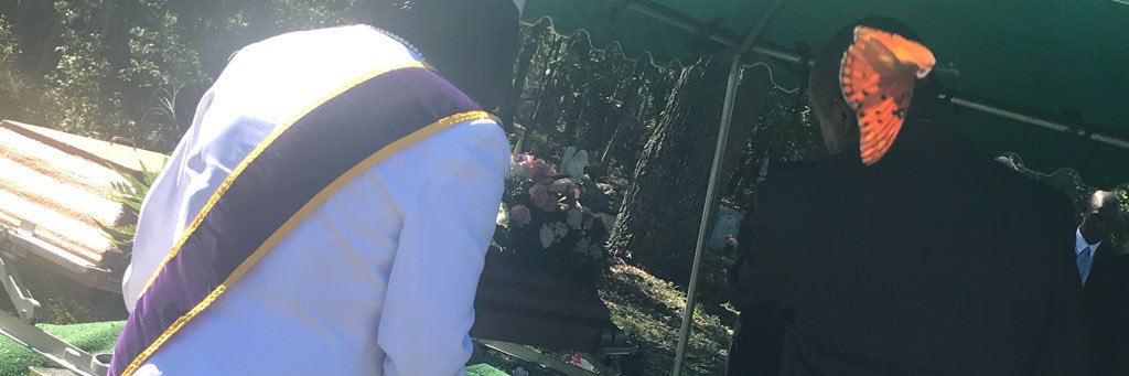 cstevenss7's profile banner image