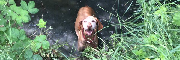 AntoMadd Profile Banner